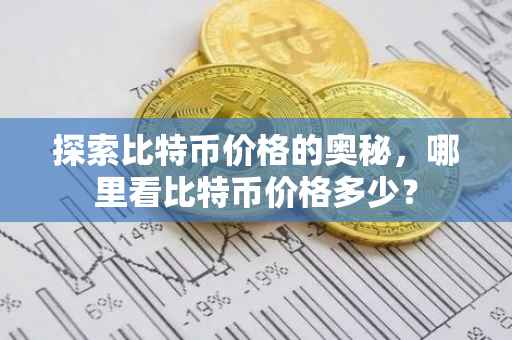探索比特币价格的奥秘，哪里看比特币价格多少？