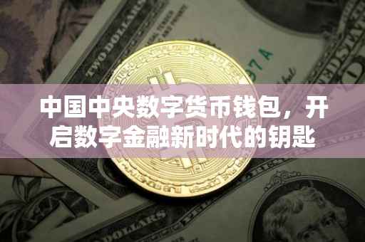 中国中央数字货币钱包，开启数字金融新时代的钥匙