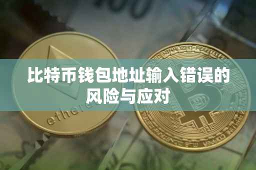 比特币钱包地址输入错误的风险与应对