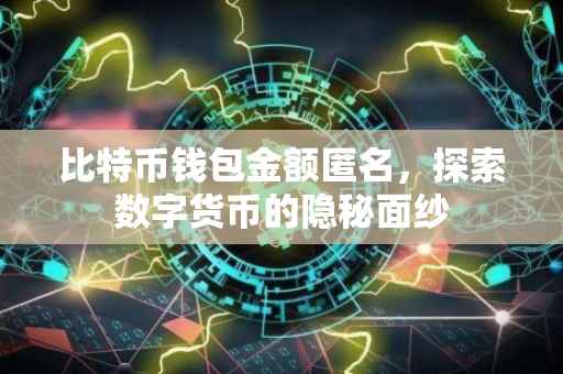 比特币钱包金额匿名，探索数字货币的隐秘面纱