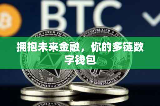 拥抱未来金融，你的多链数字钱包