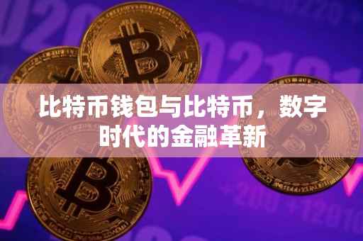比特币钱包与比特币，数字时代的金融革新