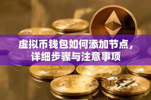 虚拟币钱包如何添加节点，详细步骤与注意事项