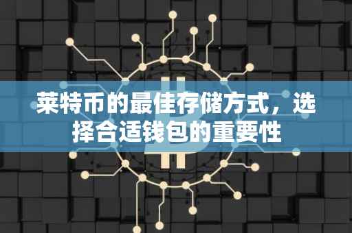 莱特币的最佳存储方式，选择合适钱包的重要性