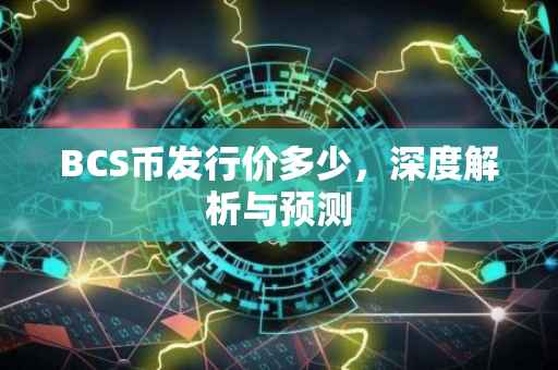 BCS币发行价多少，深度解析与预测