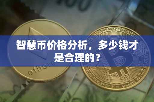 智慧币价格分析，多少钱才是合理的？