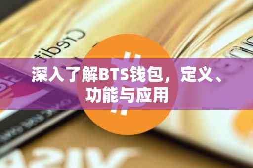 深入了解BTS钱包，定义、功能与应用