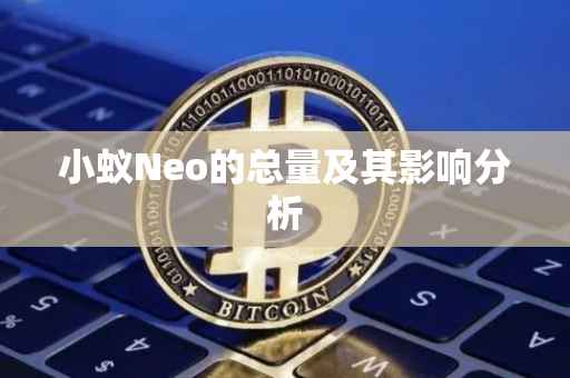 小蚁Neo的总量及其影响分析