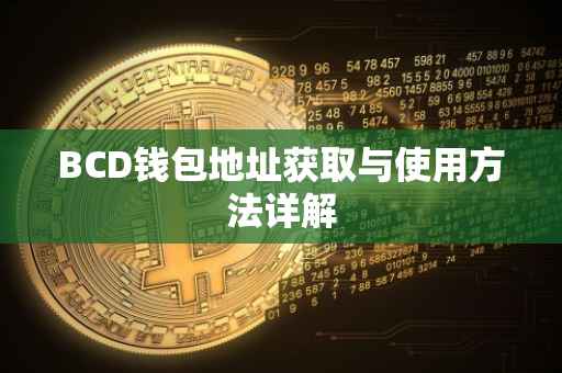 BCD钱包地址获取与使用方法详解