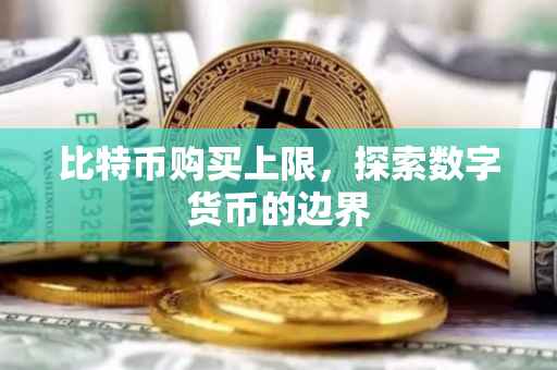 比特币购买上限，探索数字货币的边界