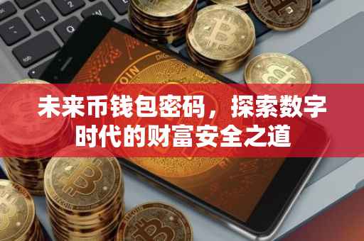 未来币钱包密码，探索数字时代的财富安全之道