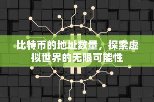 比特币的地址数量，探索虚拟世界的无限可能性