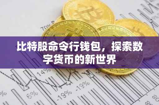 比特股命令行钱包，探索数字货币的新世界
