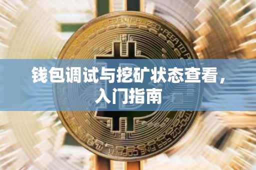钱包调试与挖矿状态查看，入门指南