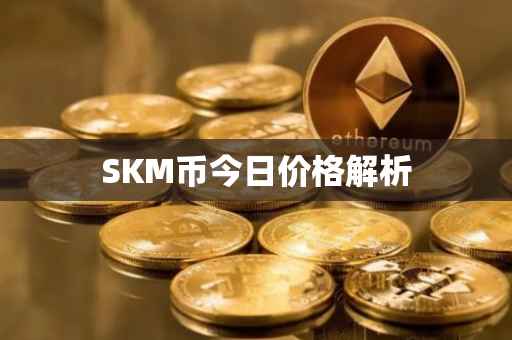 SKM币今日价格解析