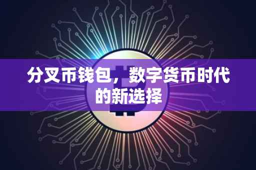 分叉币钱包，数字货币时代的新选择