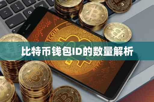 比特币钱包ID的数量解析