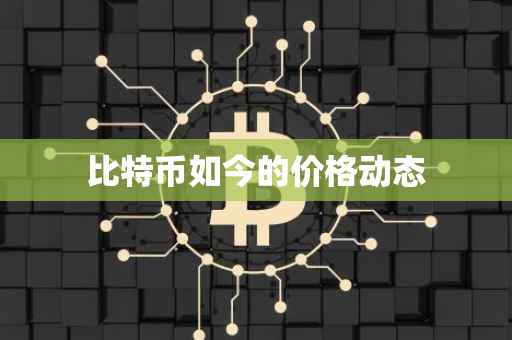 比特币如今的价格动态