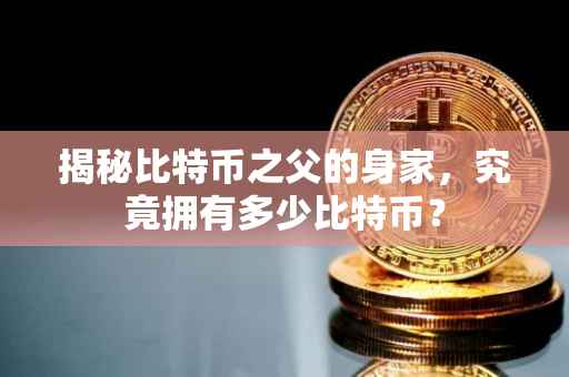 揭秘比特币之父的身家，究竟拥有多少比特币？