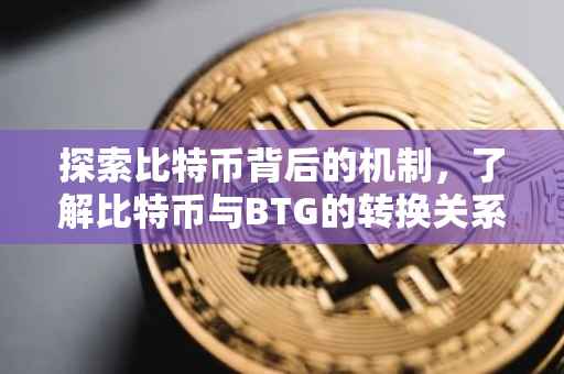 探索比特币背后的机制，了解比特币与BTG的转换关系