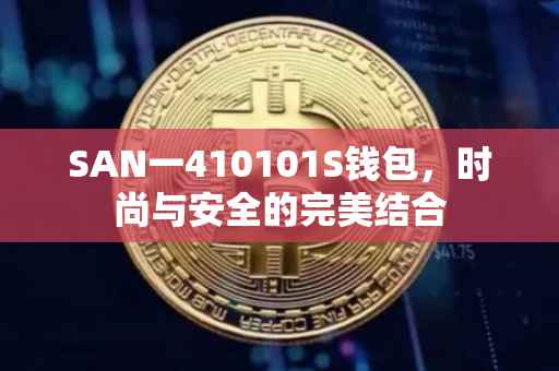 SAN一410101S钱包，时尚与安全的完美结合