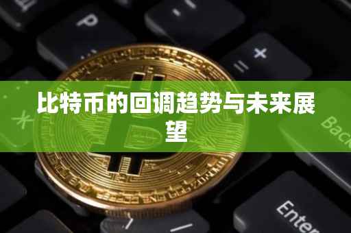 比特币的回调趋势与未来展望