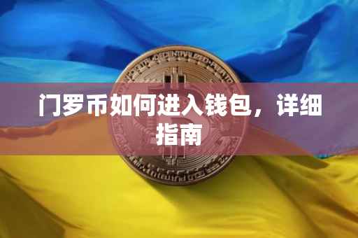 门罗币如何进入钱包，详细指南