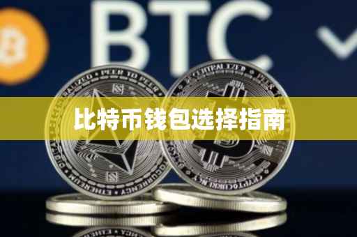比特币钱包选择指南