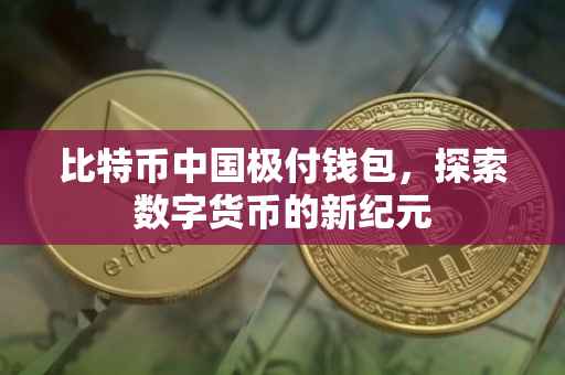 比特币中国极付钱包，探索数字货币的新纪元