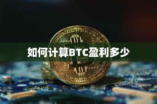 如何计算BTC盈利多少