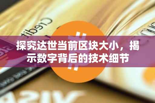 探究达世当前区块大小，揭示数字背后的技术细节