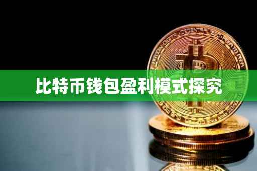 比特币钱包盈利模式探究