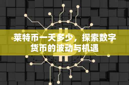 莱特币一天多少，探索数字货币的波动与机遇