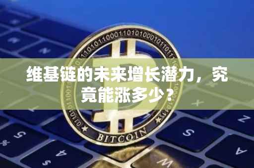 维基链的未来增长潜力，究竟能涨多少？