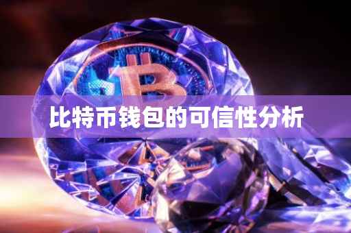 比特币钱包的可信性分析
