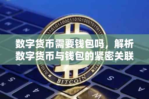 数字货币需要钱包吗，解析数字货币与钱包的紧密关联