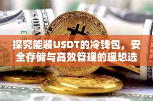 探究能装USDT的冷钱包，安全存储与高效管理的理想选择