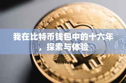 我在比特币钱包中的十六年，探索与体验