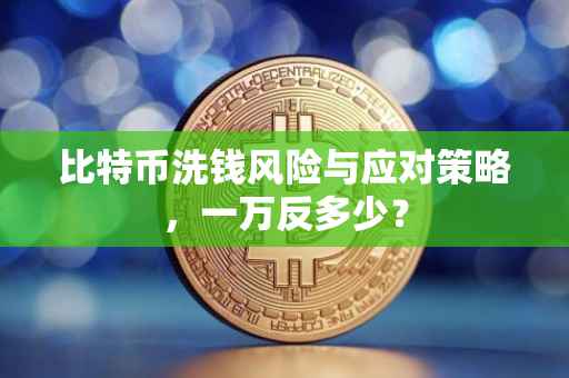 比特币洗钱风险与应对策略，一万反多少？