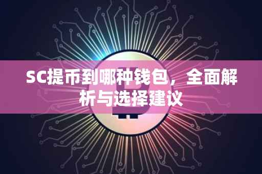 SC提币到哪种钱包，全面解析与选择建议