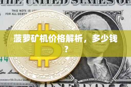 菠萝矿机价格解析，多少钱？