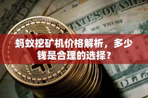 蚂蚁挖矿机价格解析，多少钱是合理的选择？