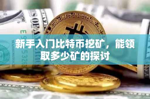 新手入门比特币挖矿，能领取多少矿的探讨