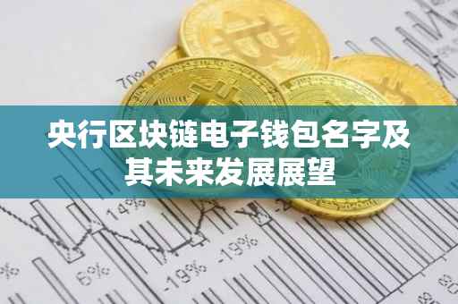 央行区块链电子钱包名字及其未来发展展望