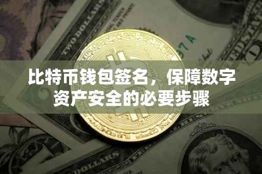 比特币钱包签名，保障数字资产安全的必要步骤