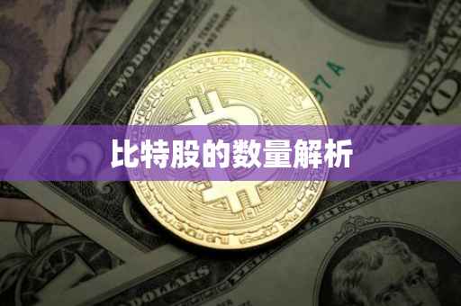 比特股的数量解析