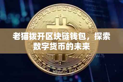 老猫拨开区块链钱包，探索数字货币的未来