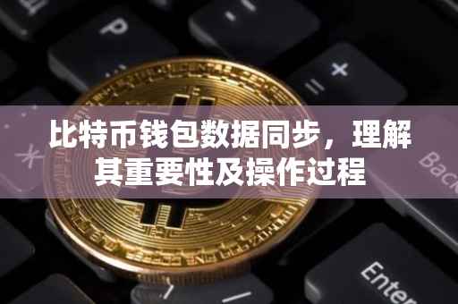 比特币钱包数据同步，理解其重要性及操作过程