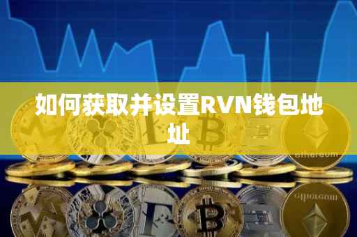 如何获取并设置RVN钱包地址