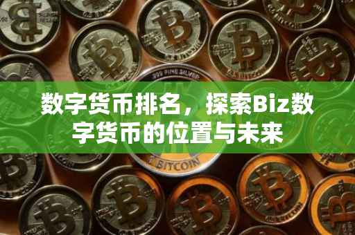 数字货币排名，探索Biz数字货币的位置与未来